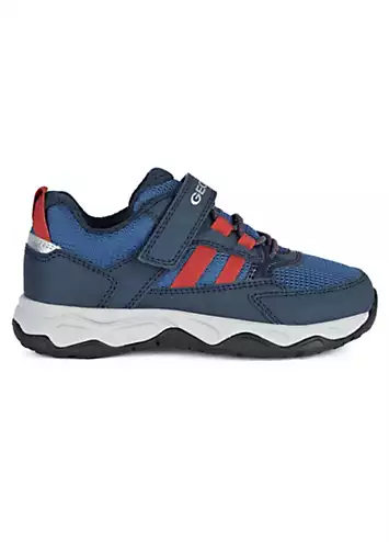 Geox Boys Calco Trainers | Grattan