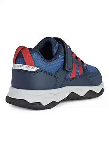 Geox Boys Calco Trainers | Grattan