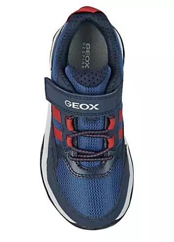 Geox Boys Calco Trainers | Grattan