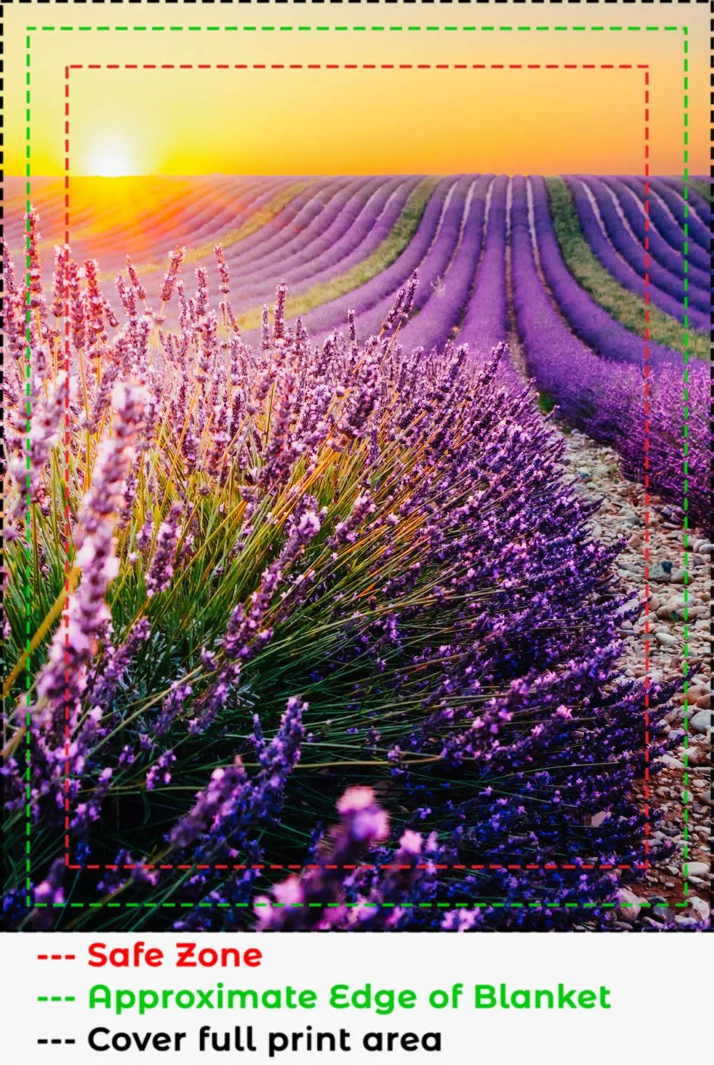 Lavender Field Sunset Blanket