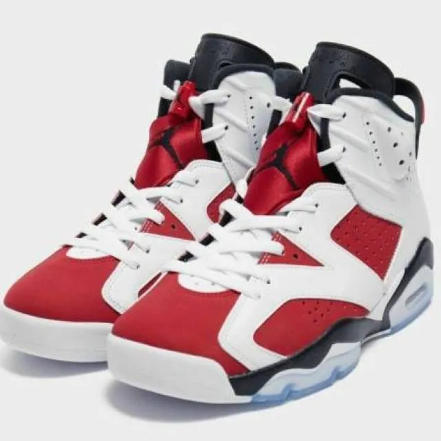 Sz 8/13 - 2021 Nike Air Jordan 6 VI Retro Carmine White ...