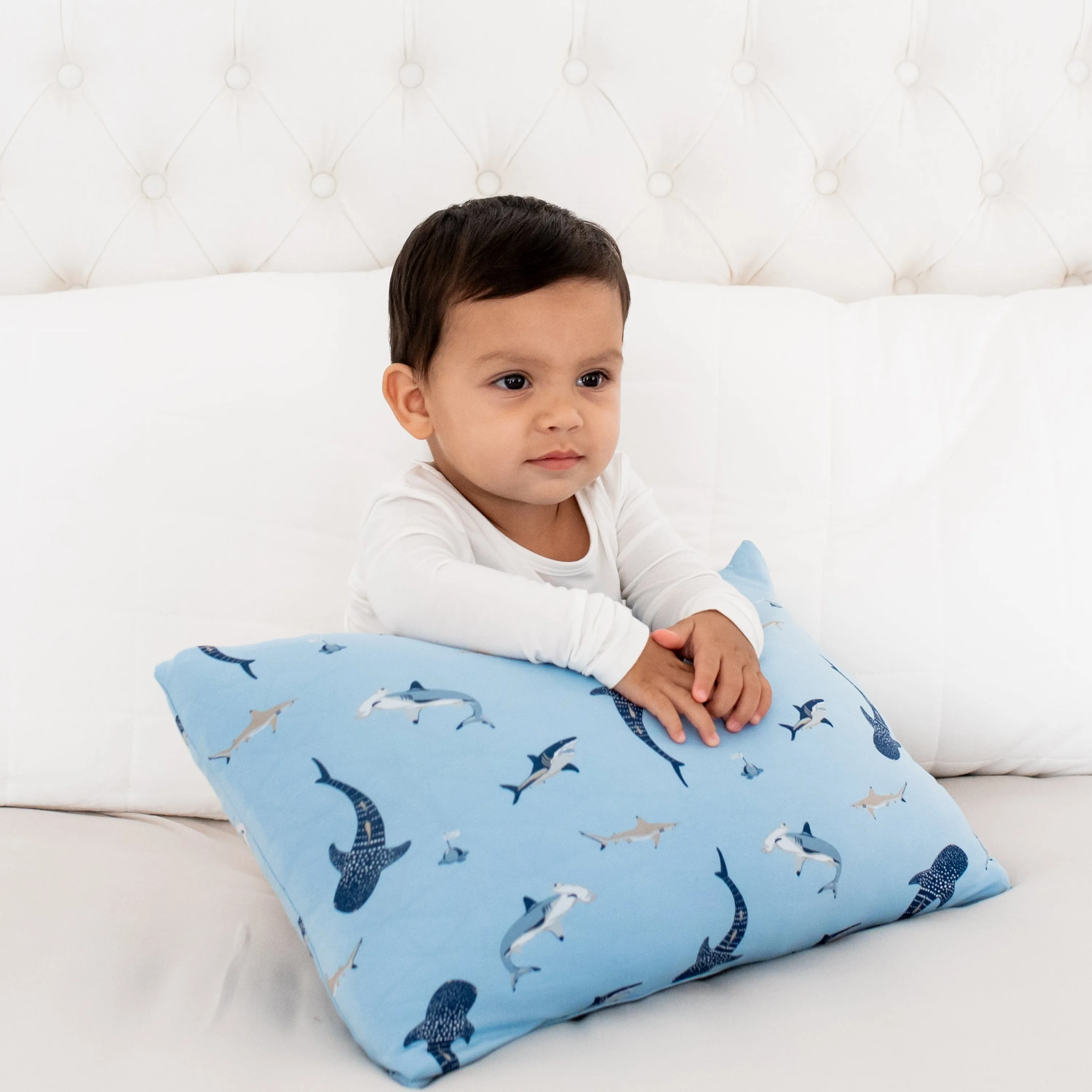 Toddler Pillowcase in Shark