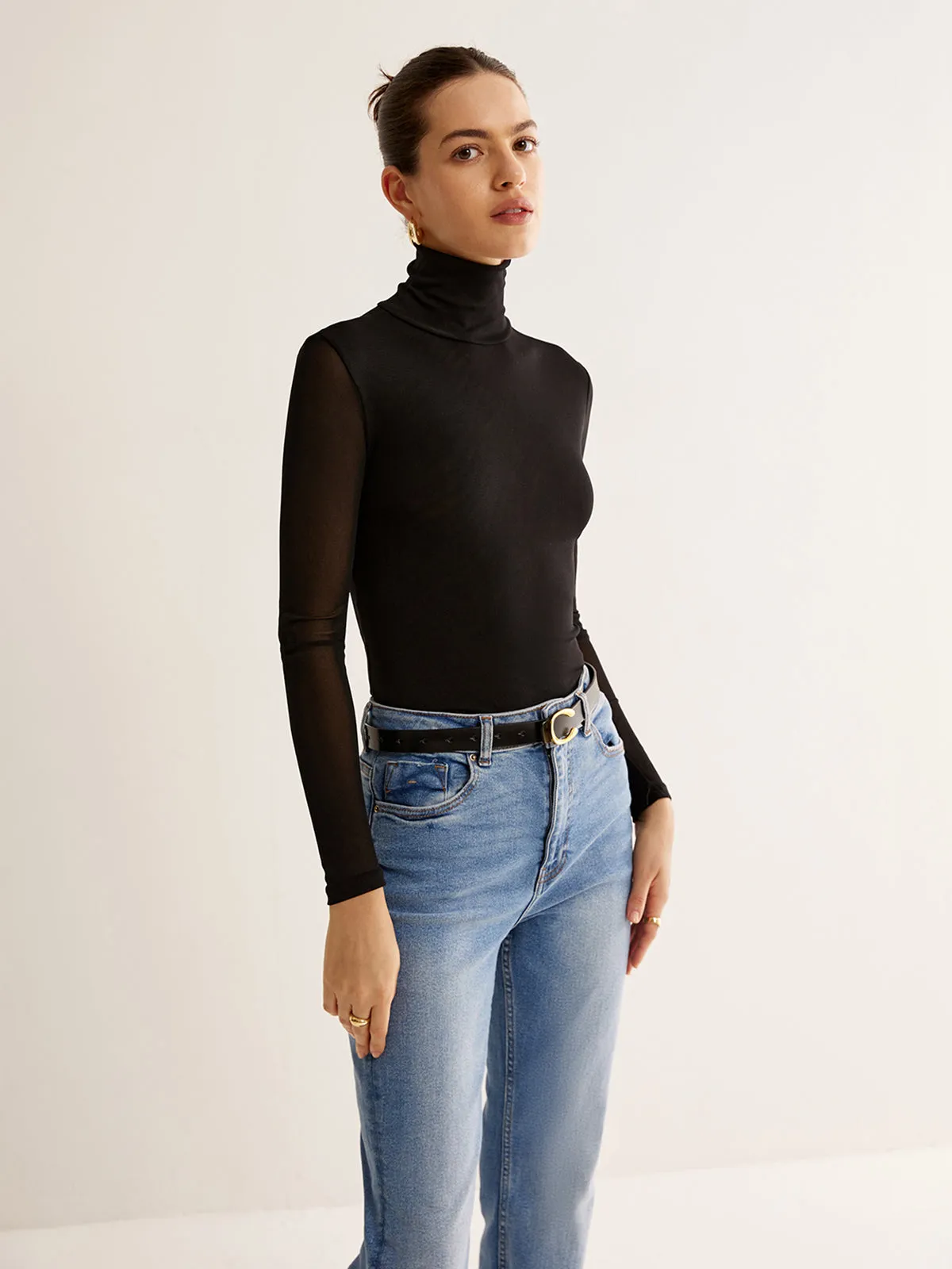 Turtleneck Sheer Sleeve Jersey Top